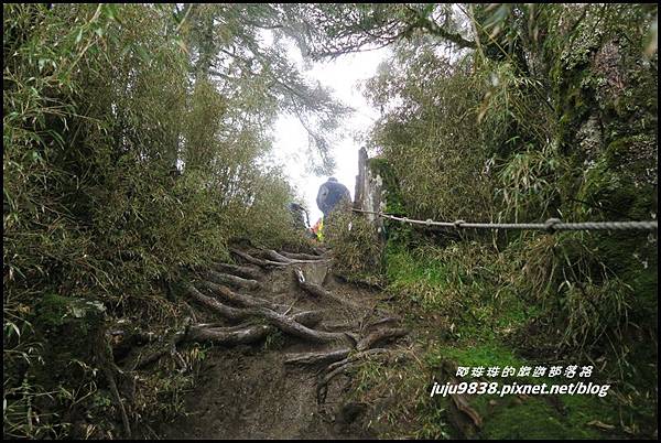 小奇萊步道47.JPG 小奇萊步道47.JPG