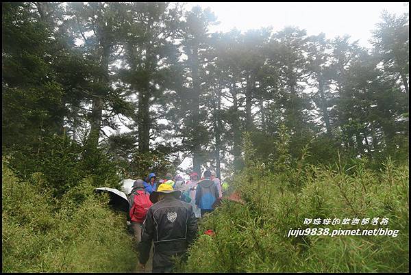 小奇萊步道50.JPG 小奇萊步道50.JPG