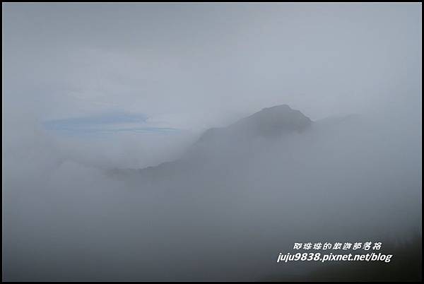 小奇萊步道49.JPG
