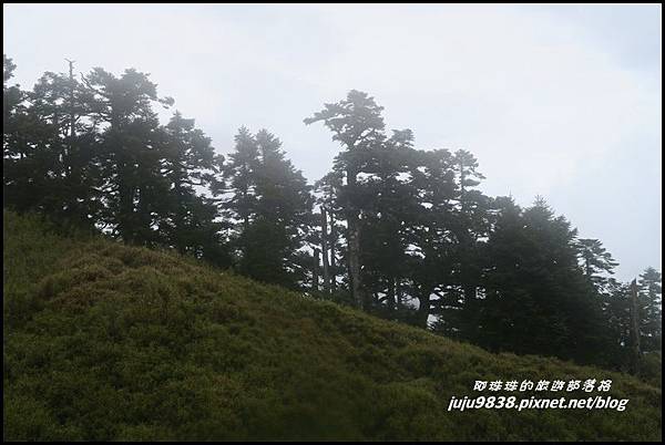 小奇萊步道54.JPG 小奇萊步道54.JPG