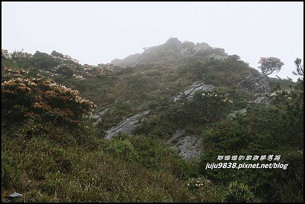 小奇萊步道61.JPG 小奇萊步道61.JPG