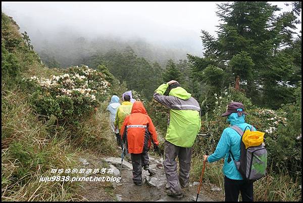 小奇萊步道62.JPG