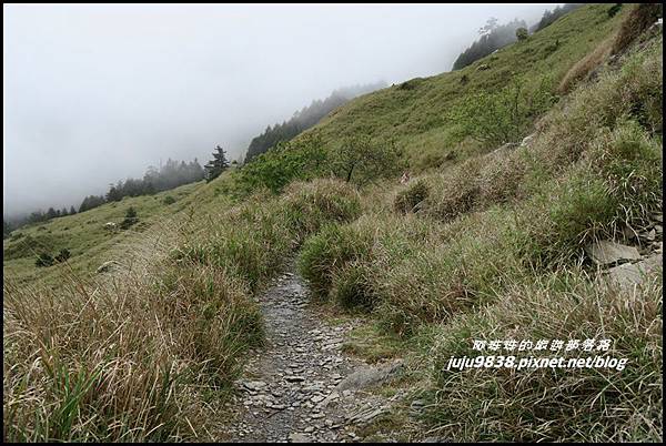 小奇萊步道67.JPG