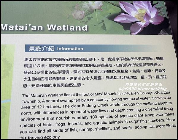 馬太鞍濕地2.JPG 馬太鞍濕地2.JPG