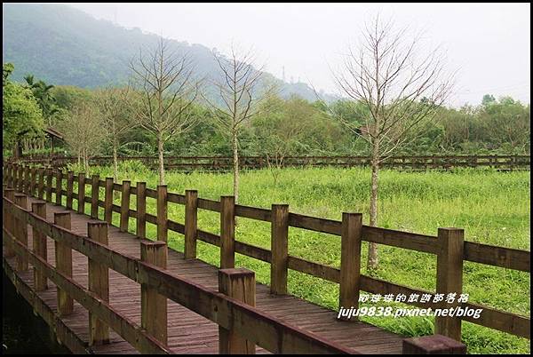 馬太鞍濕地7.JPG 馬太鞍濕地7.JPG