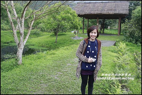 馬太鞍濕地9.JPG 馬太鞍濕地9.JPG