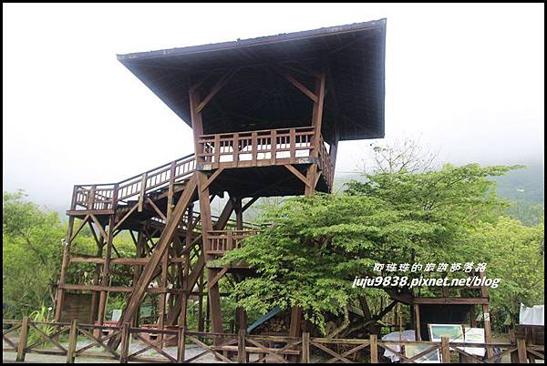 馬太鞍濕地11.JPG 馬太鞍濕地11.JPG