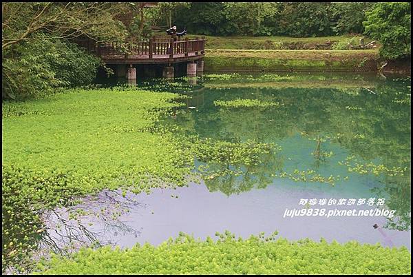 馬太鞍濕地17.JPG 馬太鞍濕地17.JPG