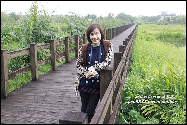 馬太鞍濕地21.JPG 馬太鞍濕地21.JPG