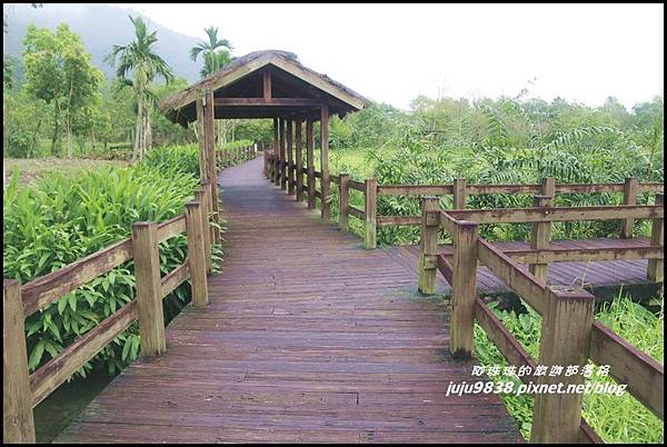 馬太鞍濕地20.JPG 馬太鞍濕地20.JPG