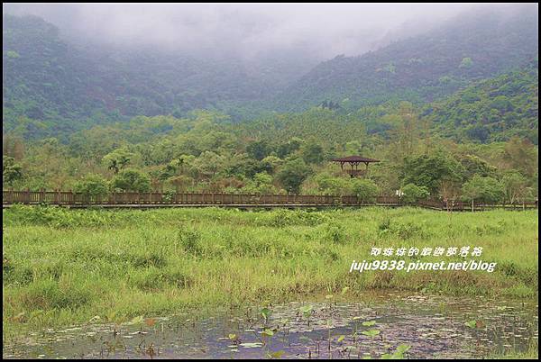 馬太鞍濕地23.JPG 馬太鞍濕地23.JPG