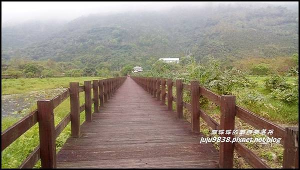 馬太鞍濕地26.jpg 馬太鞍濕地26.jpg