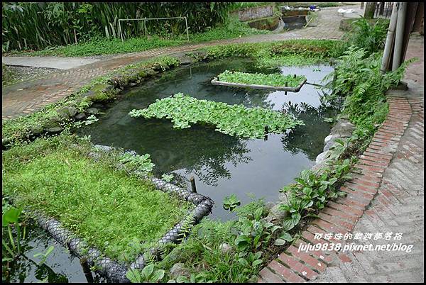 馬太鞍濕地27.JPG 馬太鞍濕地27.JPG