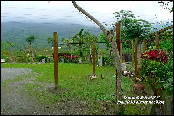 馬太鞍濕地29.JPG 馬太鞍濕地29.JPG