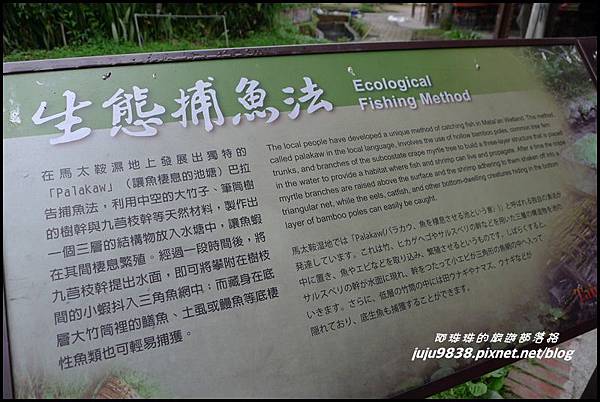 馬太鞍濕地28.JPG 馬太鞍濕地28.JPG