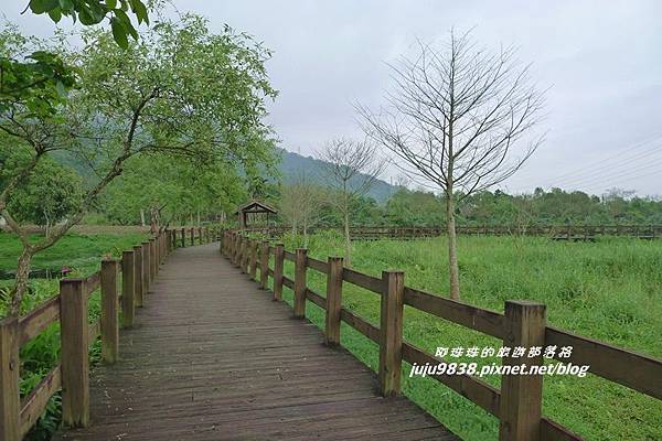 馬太鞍濕地44.JPG 馬太鞍濕地44.JPG