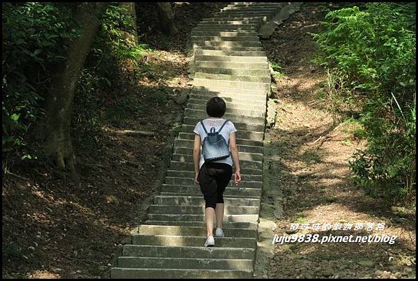 五酒桶山8.JPG 五酒桶山8.JPG