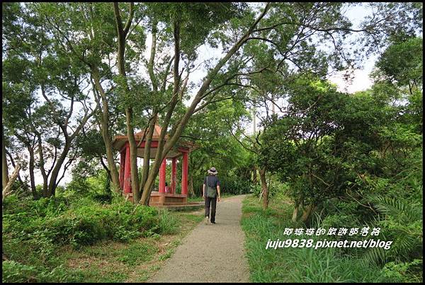 五酒桶山9.JPG 五酒桶山9.JPG