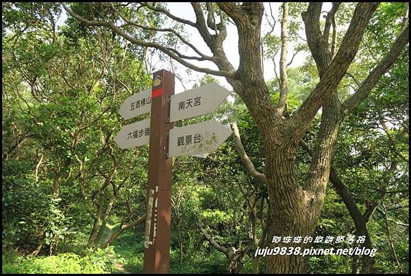 五酒桶山15.JPG 五酒桶山15.JPG