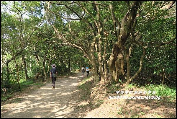 五酒桶山21.JPG 五酒桶山21.JPG