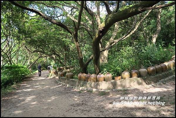 五酒桶山22.JPG 五酒桶山22.JPG