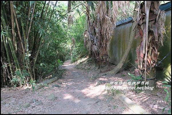 五酒桶山29.JPG 五酒桶山29.JPG