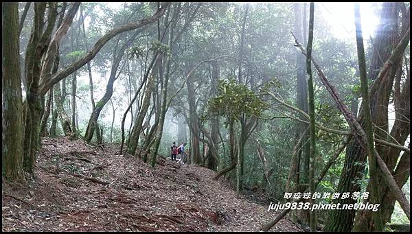 鳶嘴稍來步道1.jpg 鳶嘴稍來步道1.jpg