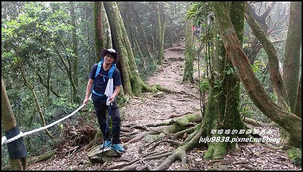 鳶嘴稍來步道2.jpg 鳶嘴稍來步道2.jpg