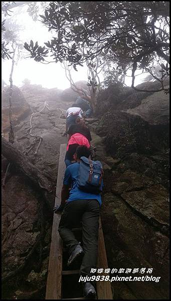 鳶嘴稍來步道3.jpg 鳶嘴稍來步道3.jpg