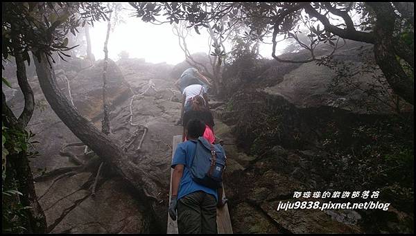 鳶嘴稍來步道4.jpg 鳶嘴稍來步道4.jpg