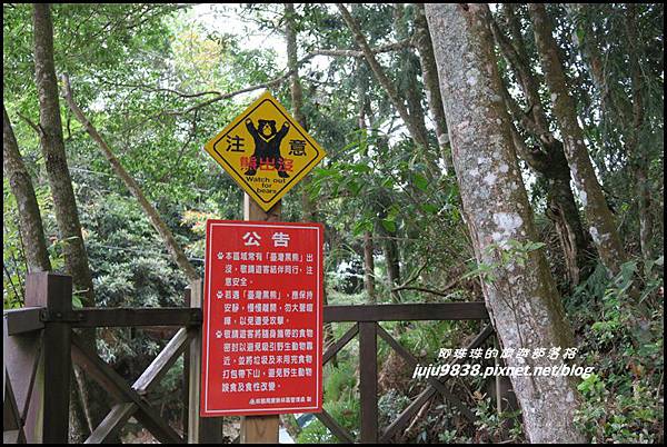 鳶嘴稍來步道8.JPG 鳶嘴稍來步道8.JPG