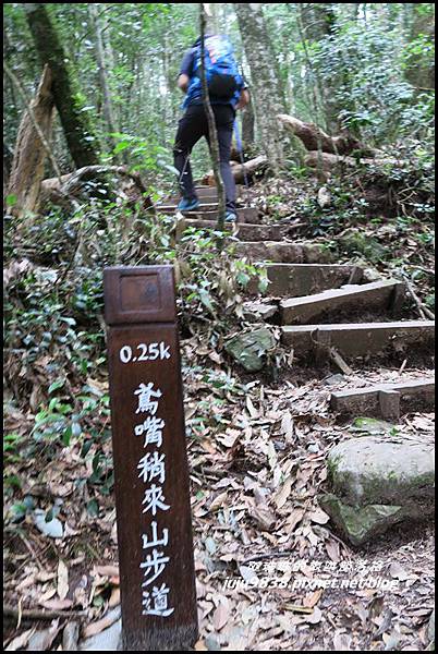 鳶嘴稍來步道15.JPG 鳶嘴稍來步道15.JPG