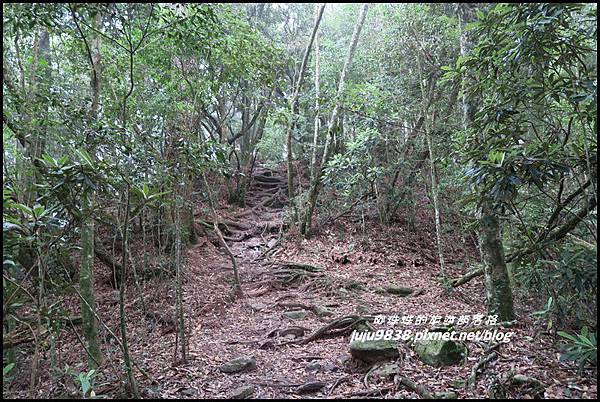 鳶嘴稍來步道19.JPG 鳶嘴稍來步道19.JPG