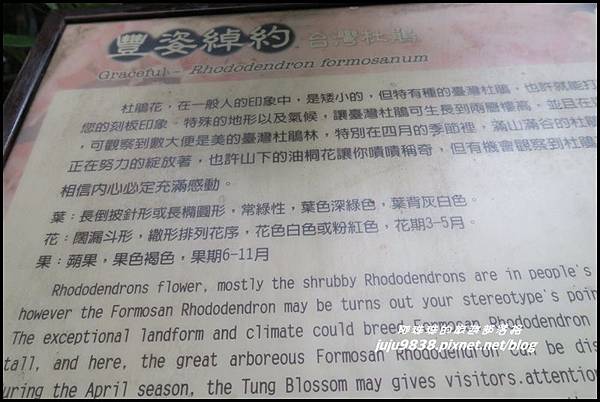 鳶嘴稍來步道20.JPG 鳶嘴稍來步道20.JPG