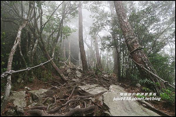 鳶嘴稍來步道24.JPG 鳶嘴稍來步道24.JPG