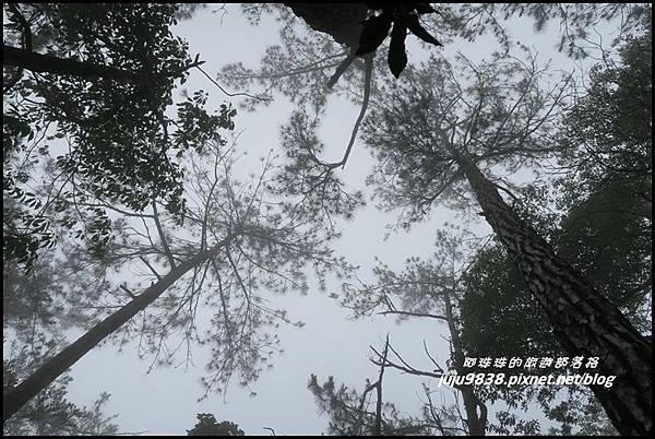 鳶嘴稍來步道25.JPG 鳶嘴稍來步道25.JPG