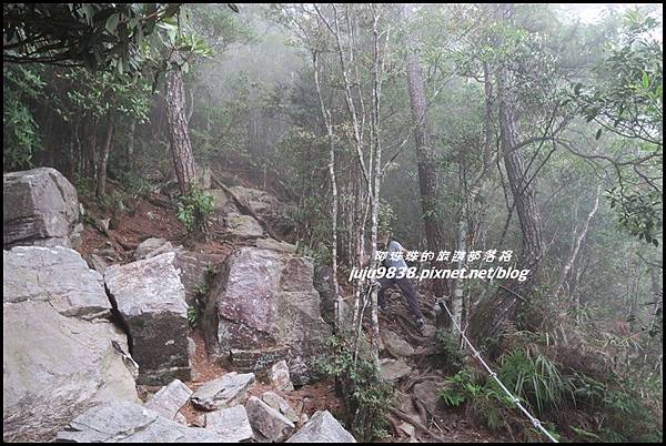 鳶嘴稍來步道27.JPG 鳶嘴稍來步道27.JPG
