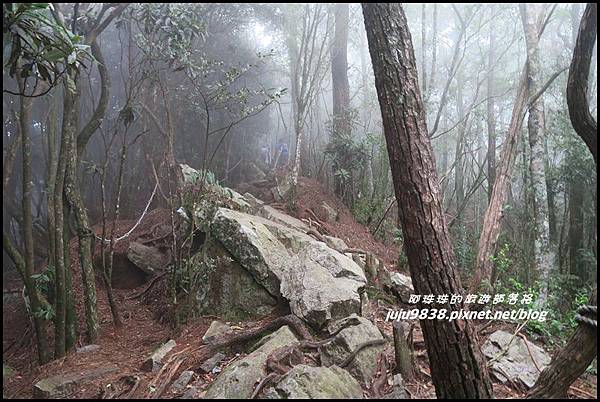 鳶嘴稍來步道29.JPG 鳶嘴稍來步道29.JPG