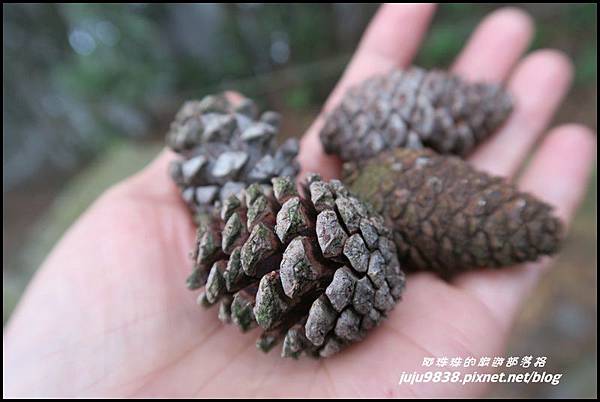 鳶嘴稍來步道30.JPG 鳶嘴稍來步道30.JPG