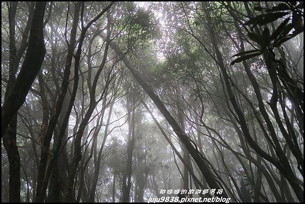 鳶嘴稍來步道31.JPG 鳶嘴稍來步道31.JPG