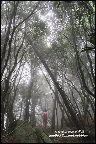 鳶嘴稍來步道32.JPG 鳶嘴稍來步道32.JPG