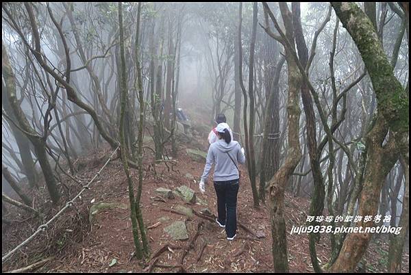 鳶嘴稍來步道33.JPG 鳶嘴稍來步道33.JPG