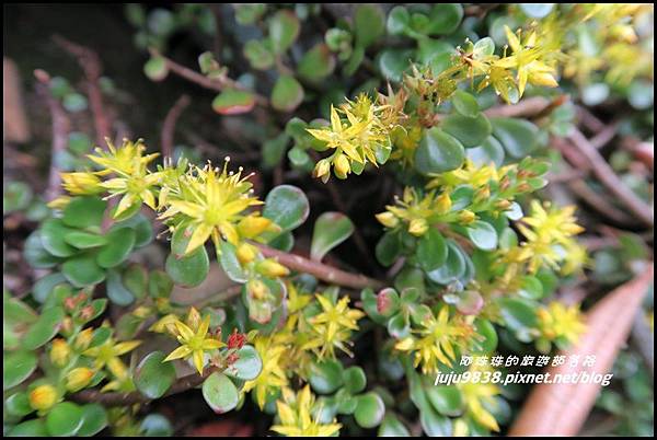 鳶嘴稍來步道58.JPG 鳶嘴稍來步道58.JPG