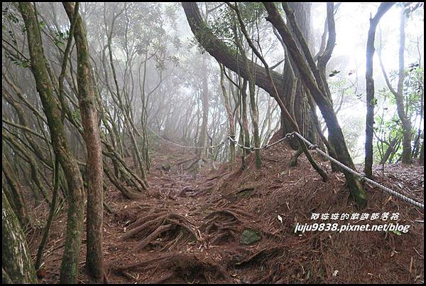 鳶嘴稍來步道62.JPG 鳶嘴稍來步道62.JPG