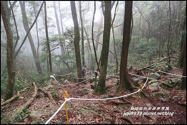 鳶嘴稍來步道65.JPG 鳶嘴稍來步道65.JPG