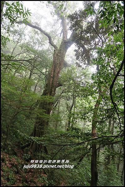 鳶嘴稍來步道67.JPG 鳶嘴稍來步道67.JPG