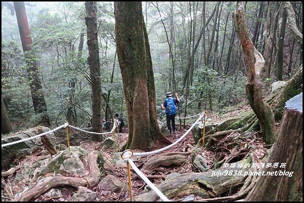 鳶嘴稍來步道66.JPG 鳶嘴稍來步道66.JPG