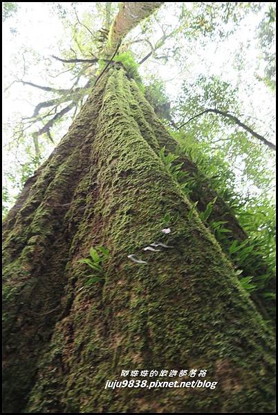 鳶嘴稍來步道73.JPG 鳶嘴稍來步道73.JPG