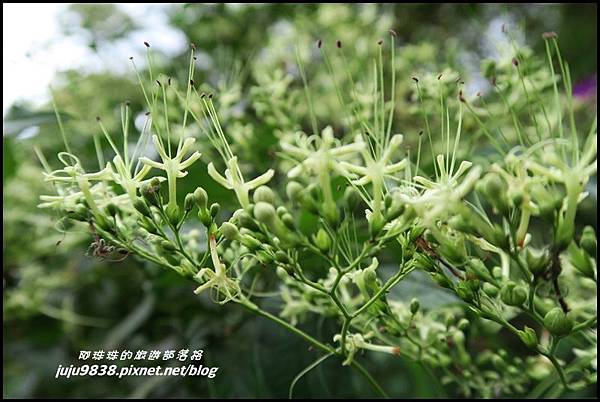 虎豹潭33.JPG 虎豹潭33.JPG