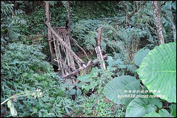 怪獸森林58.JPG 怪獸森林58.JPG